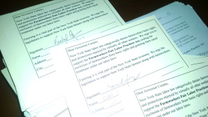 10300 petition signatures for governor 2 - TGF